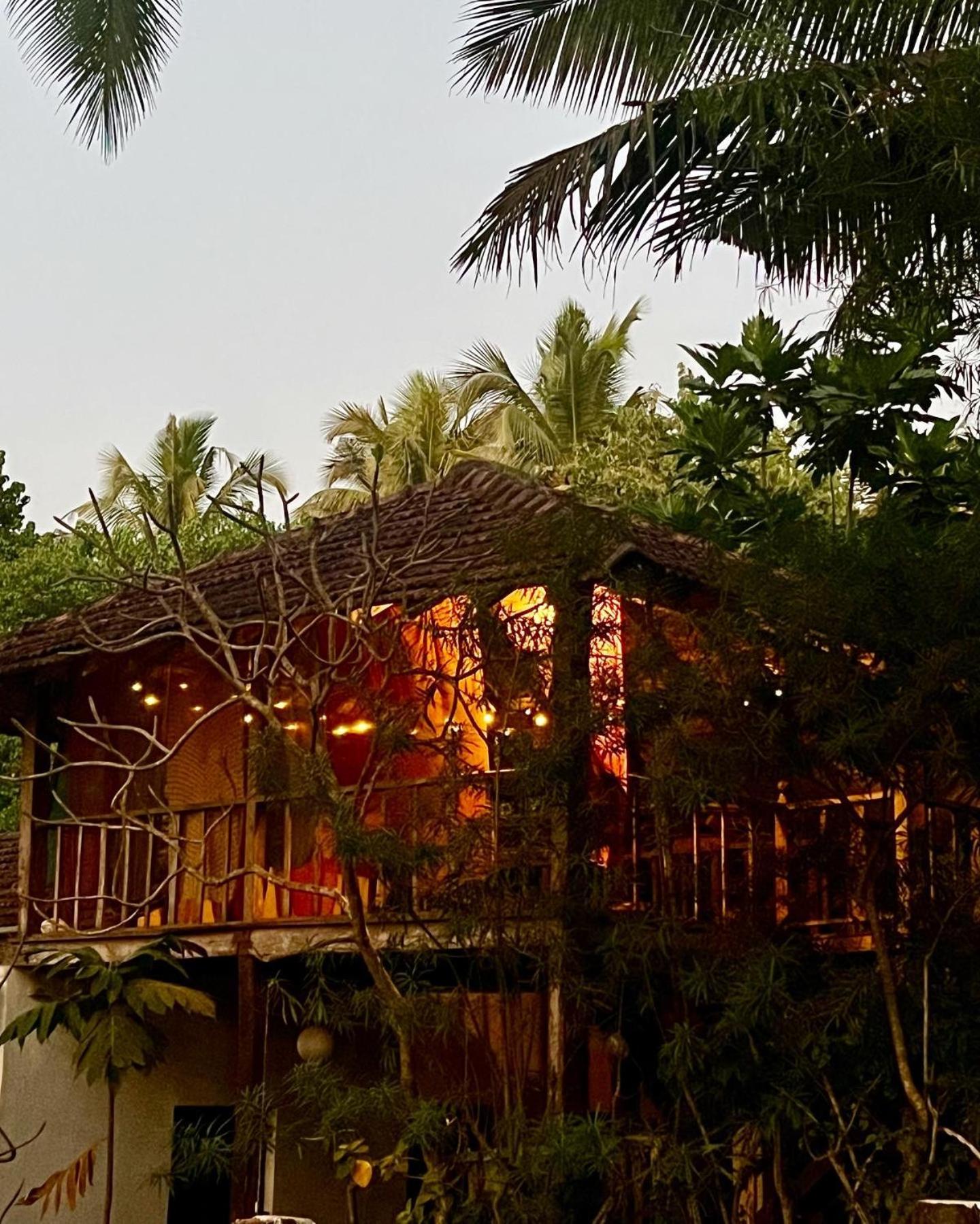 The Wild Flower! Anjuna Luaran gambar