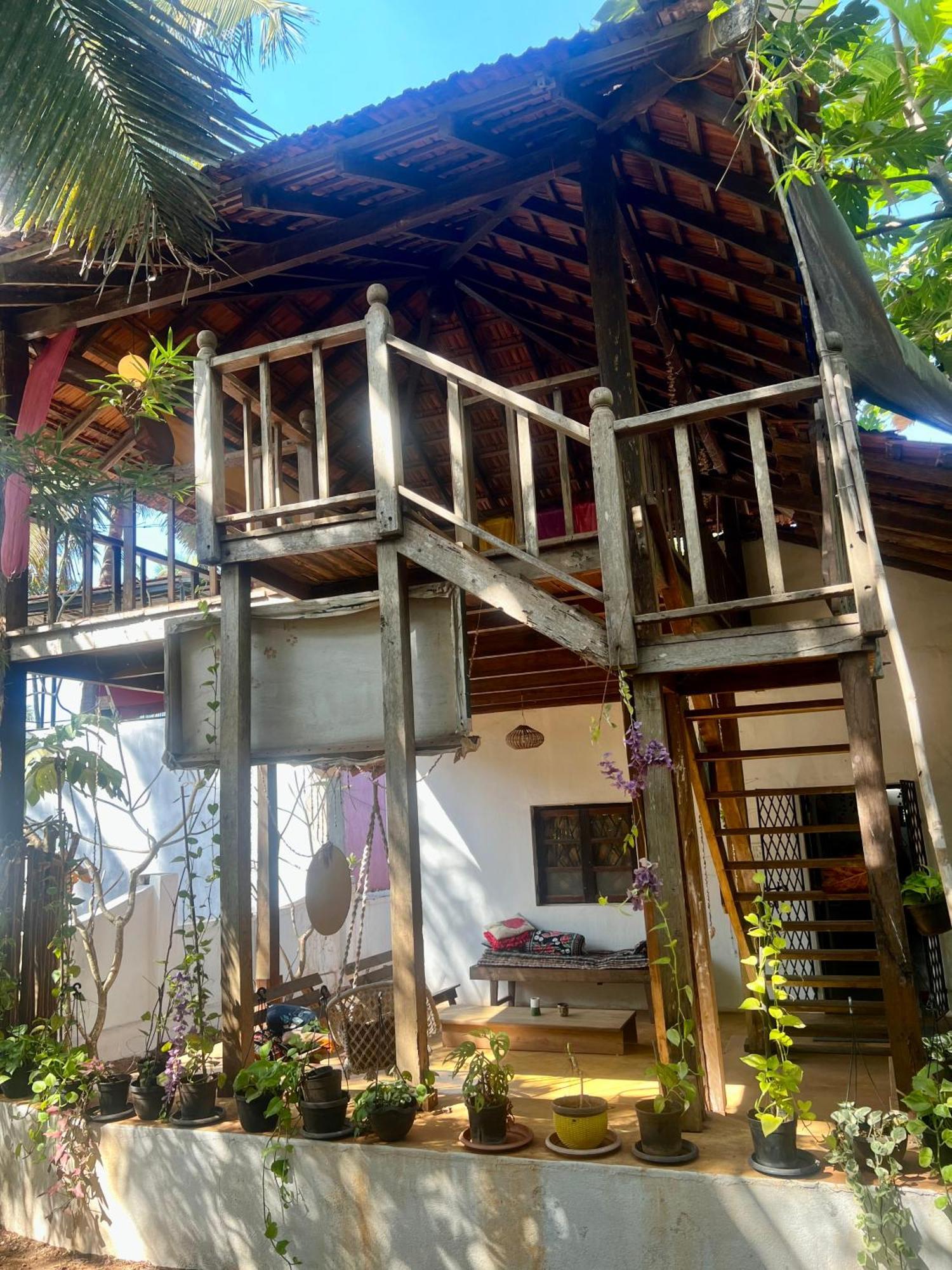 The Wild Flower! Anjuna Luaran gambar