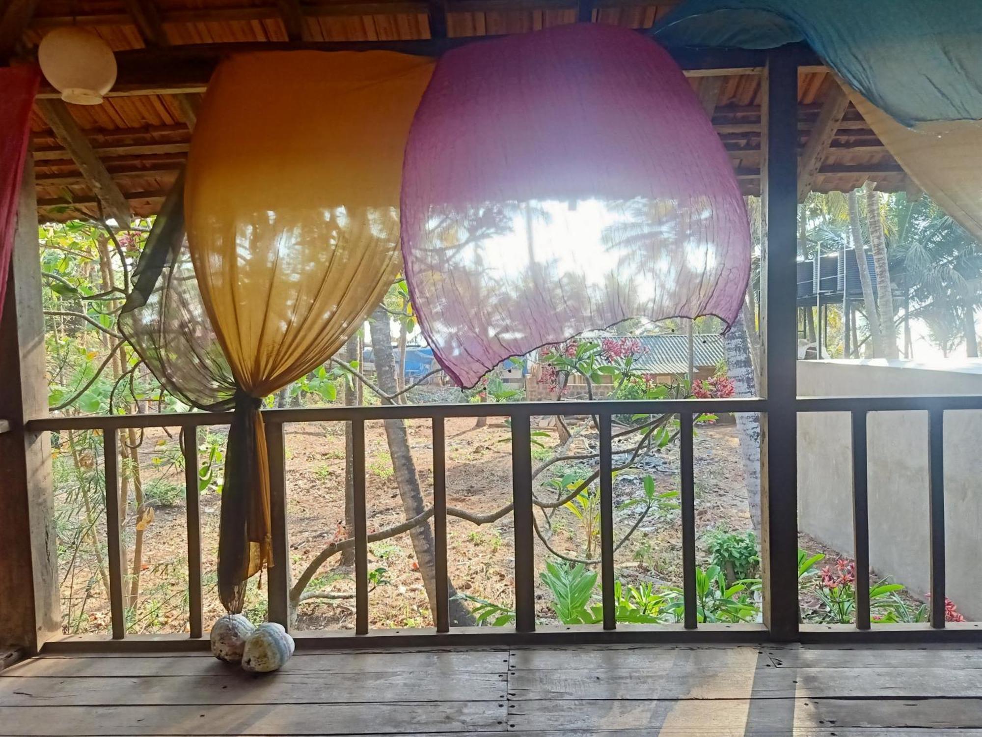 The Wild Flower! Anjuna Luaran gambar